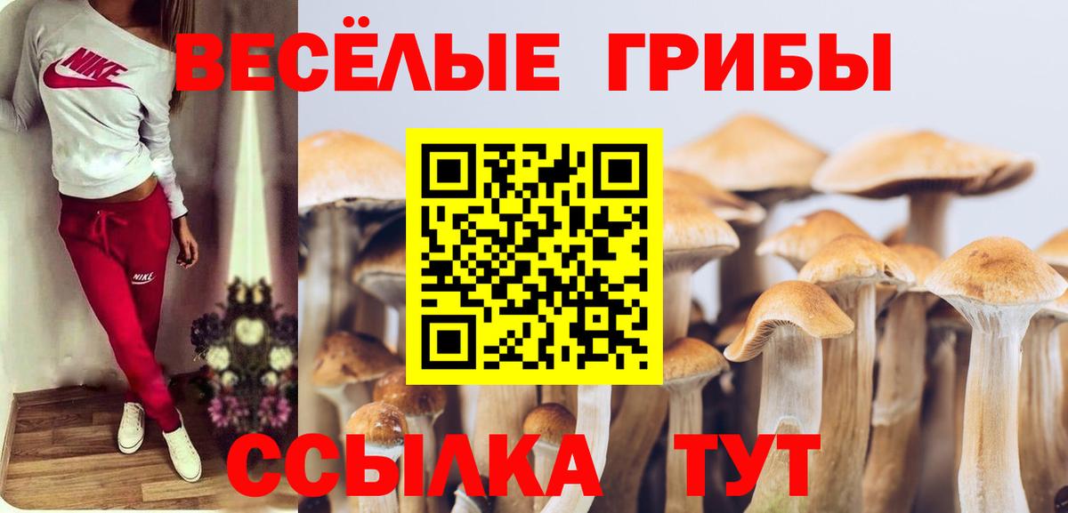 как найти закладки  Вход с VPN  Псилоцибиновые грибы Cubensis  Приморско-Ахтарск  Псилоцибиновые грибы MAGIC MUSHROOMS 